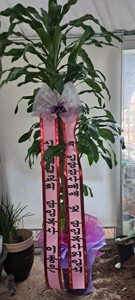 업로드 이미지