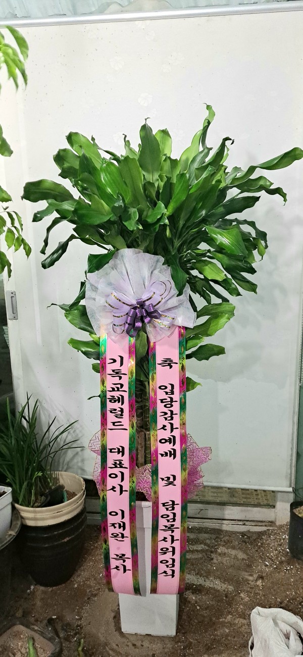업로드 이미지