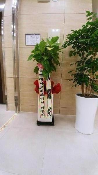 업로드 이미지