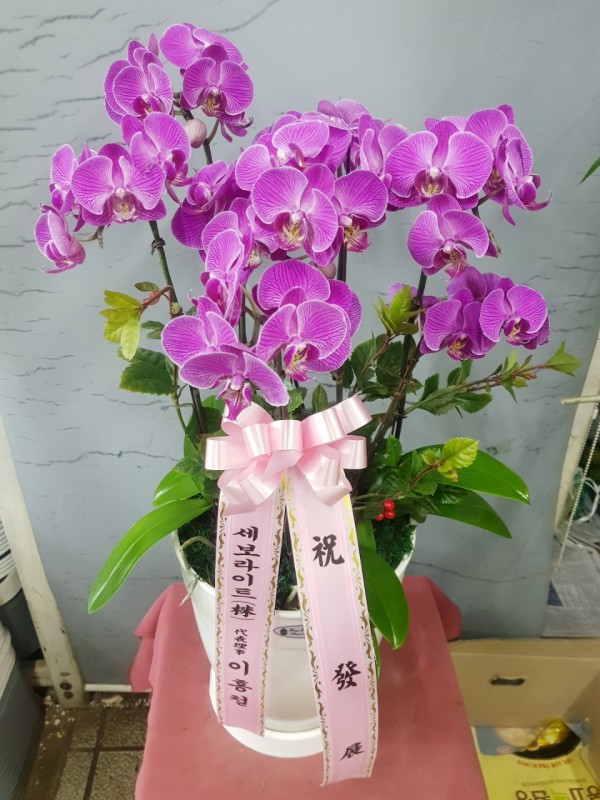 업로드 이미지