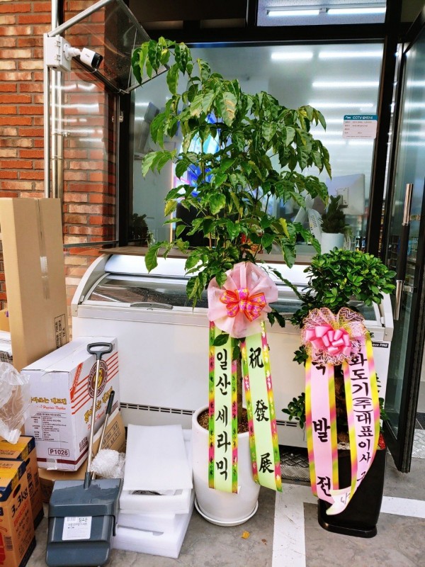 업로드 이미지