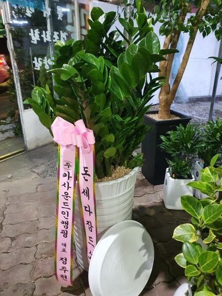 업로드 이미지