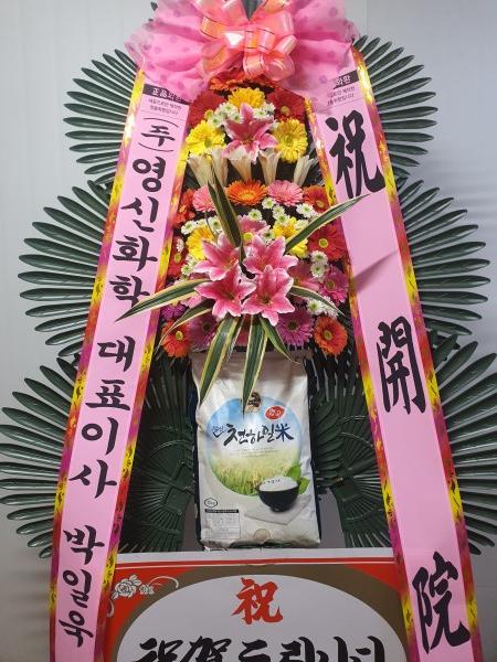 업로드 이미지