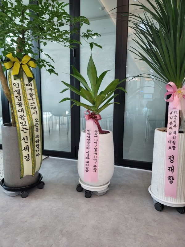 업로드 이미지