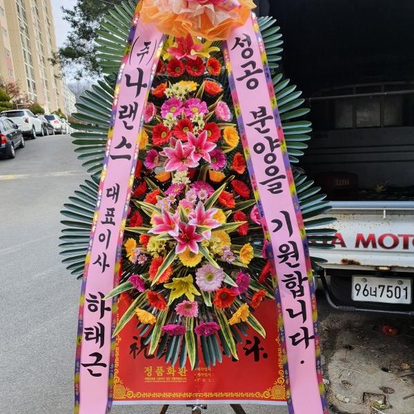 업로드 이미지