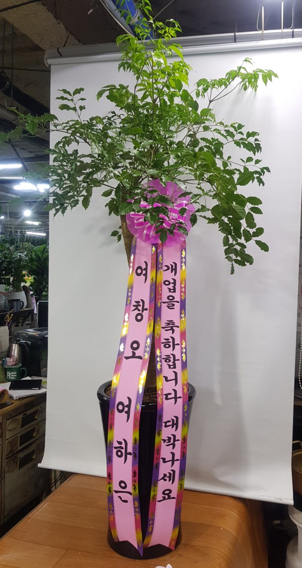 업로드 이미지