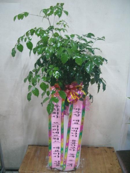업로드 이미지