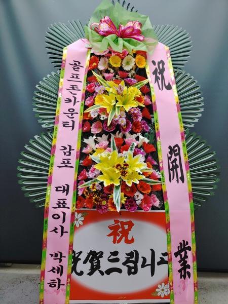 업로드 이미지