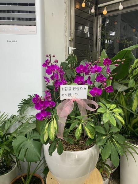 업로드 이미지