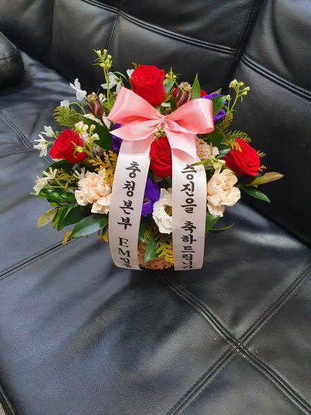업로드 이미지