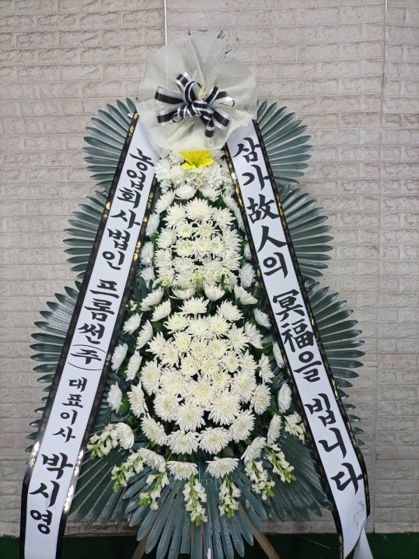 업로드 이미지