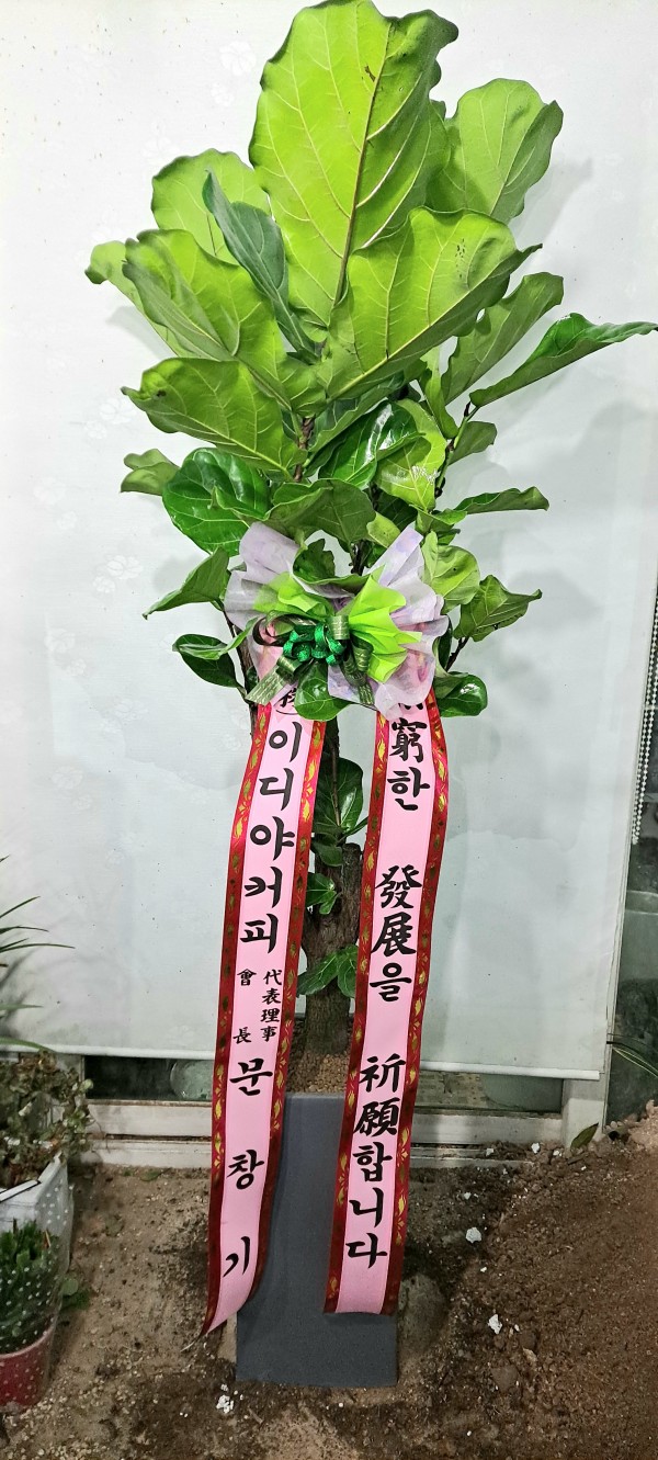 업로드 이미지