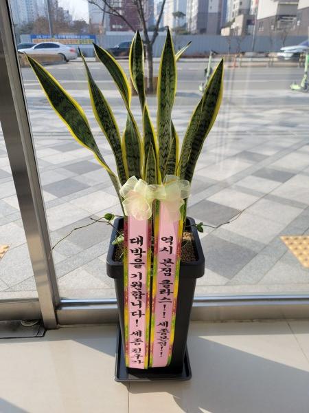 업로드 이미지