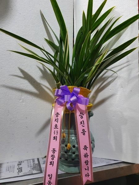 업로드 이미지