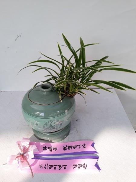 업로드 이미지