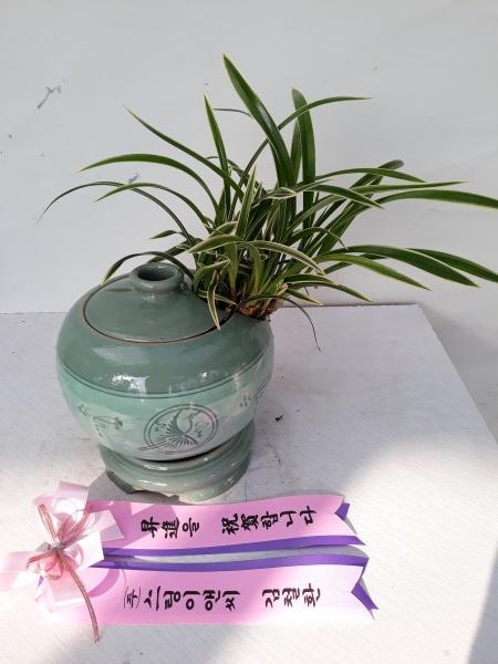 업로드 이미지