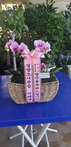 업로드 이미지