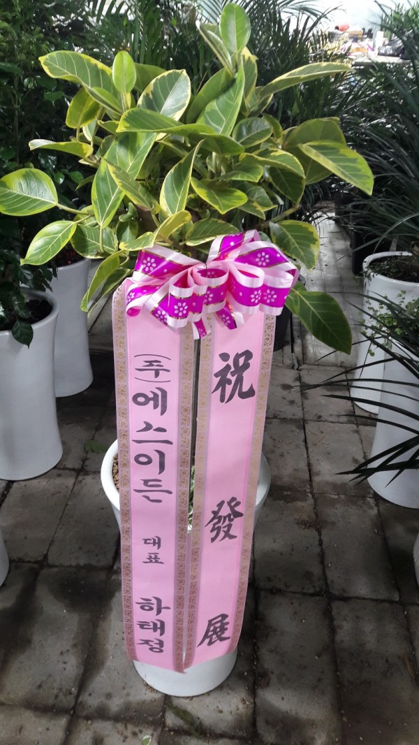 업로드 이미지