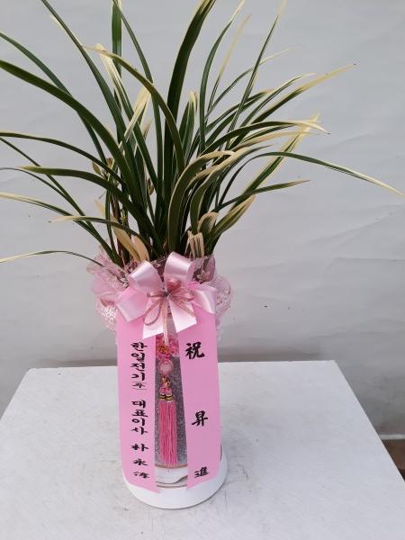 업로드 이미지
