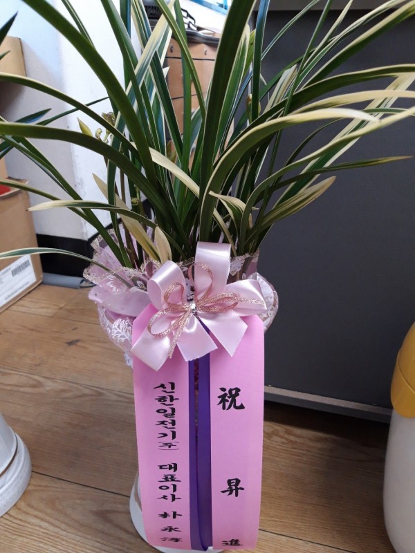 업로드 이미지