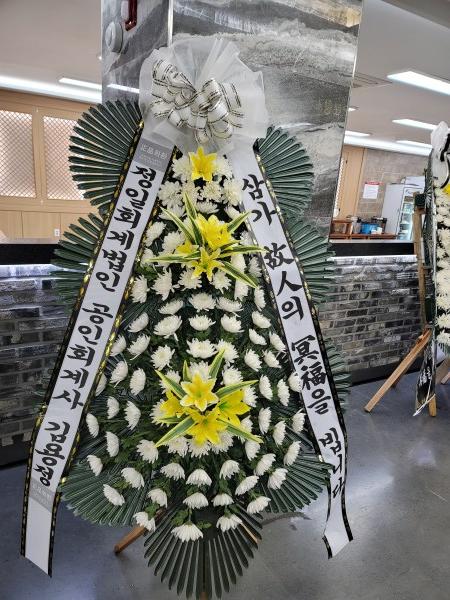 업로드 이미지