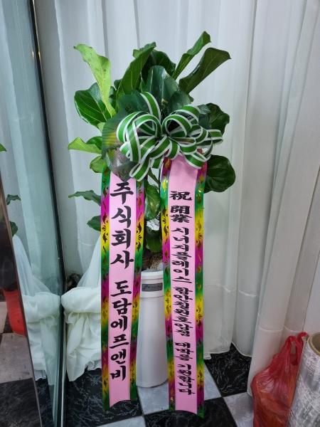 업로드 이미지