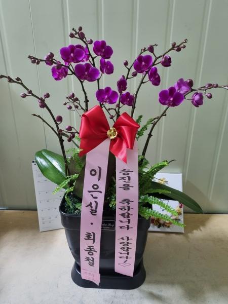 업로드 이미지