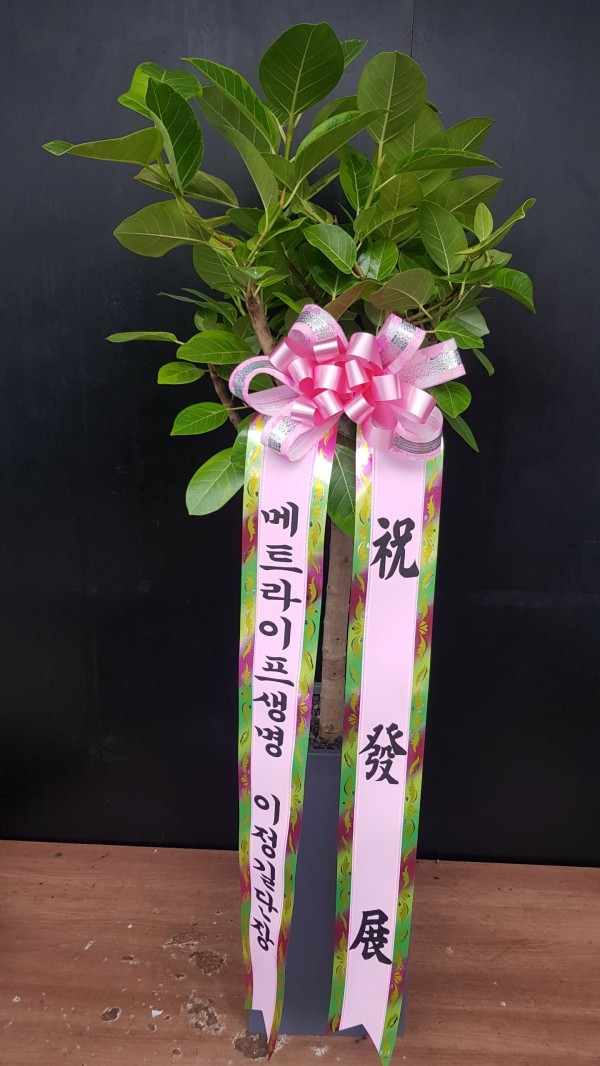 업로드 이미지