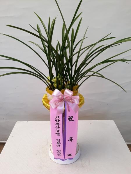 업로드 이미지