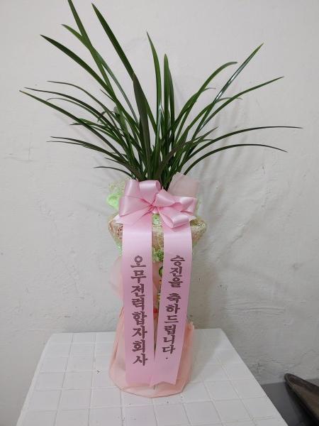 업로드 이미지