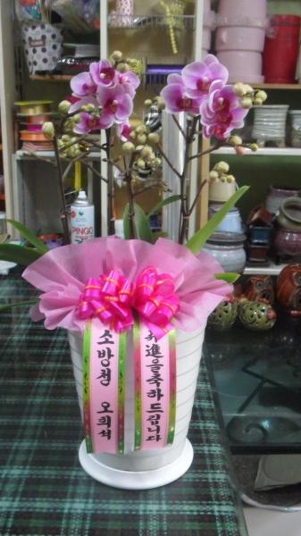 업로드 이미지