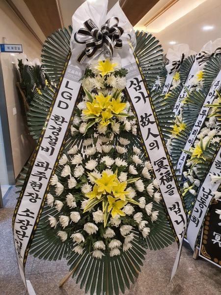 업로드 이미지