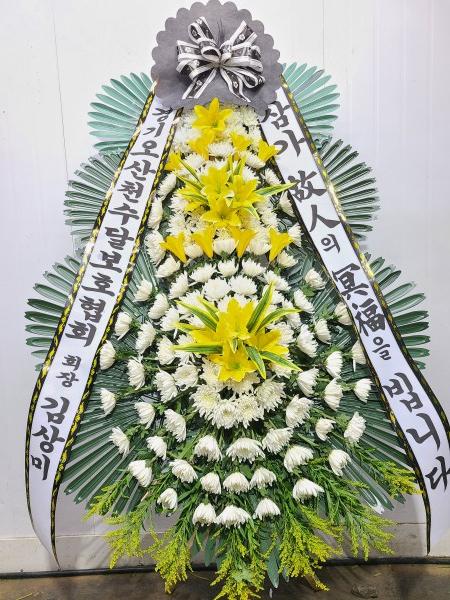 업로드 이미지