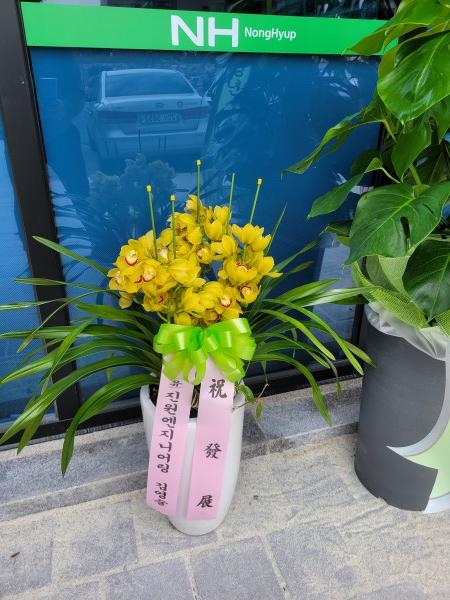 업로드 이미지