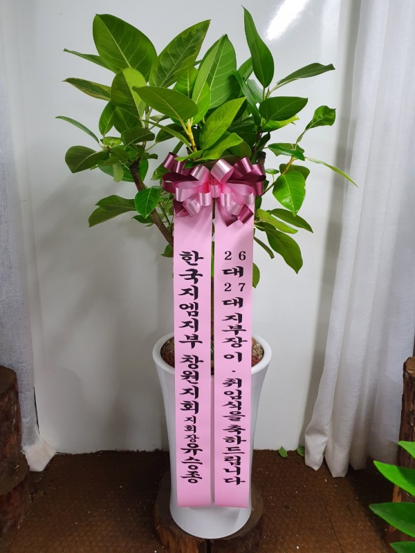업로드 이미지
