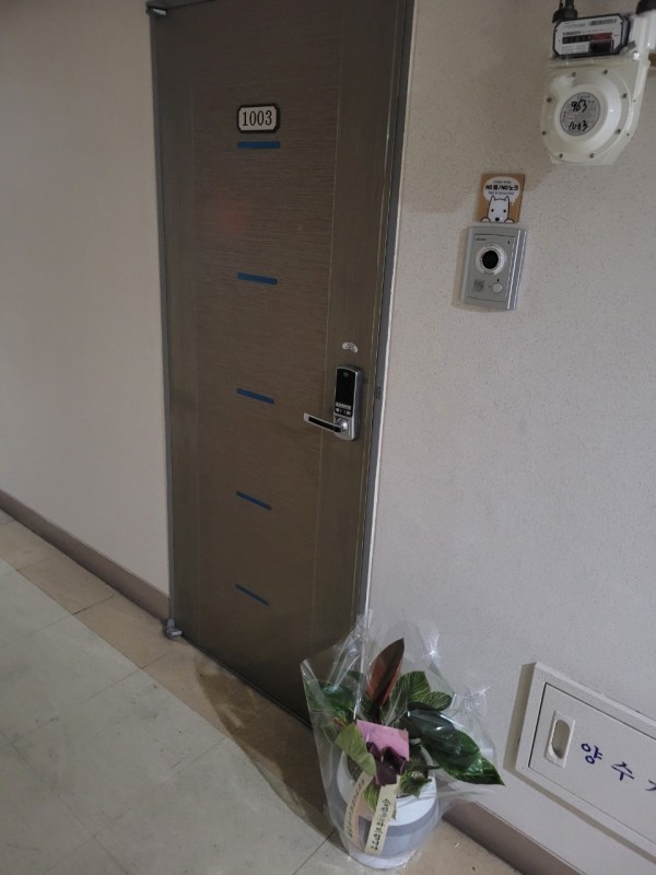 업로드 이미지
