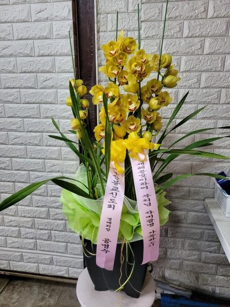 업로드 이미지