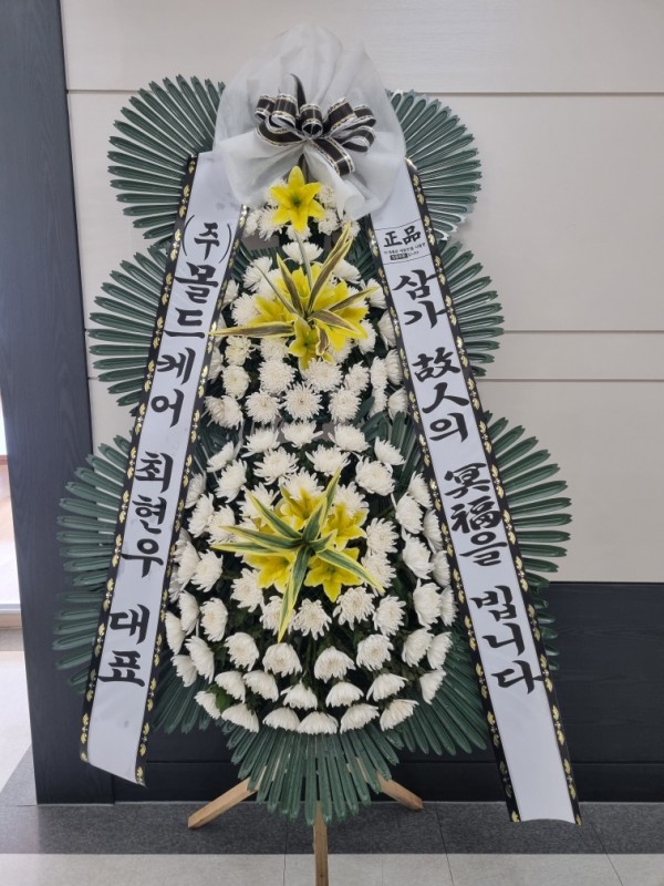 업로드 이미지