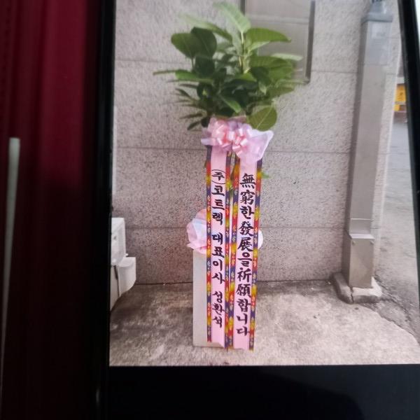 업로드 이미지