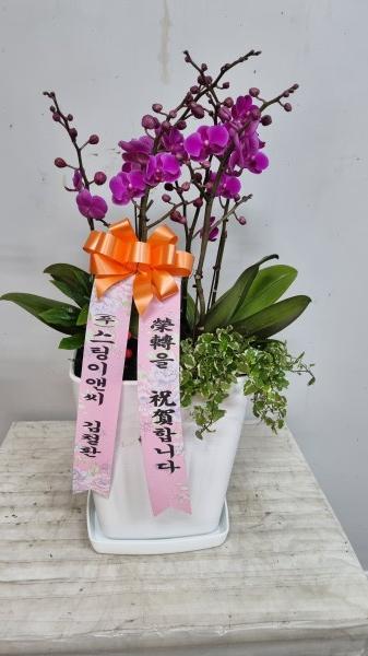 업로드 이미지