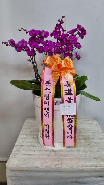 업로드 이미지