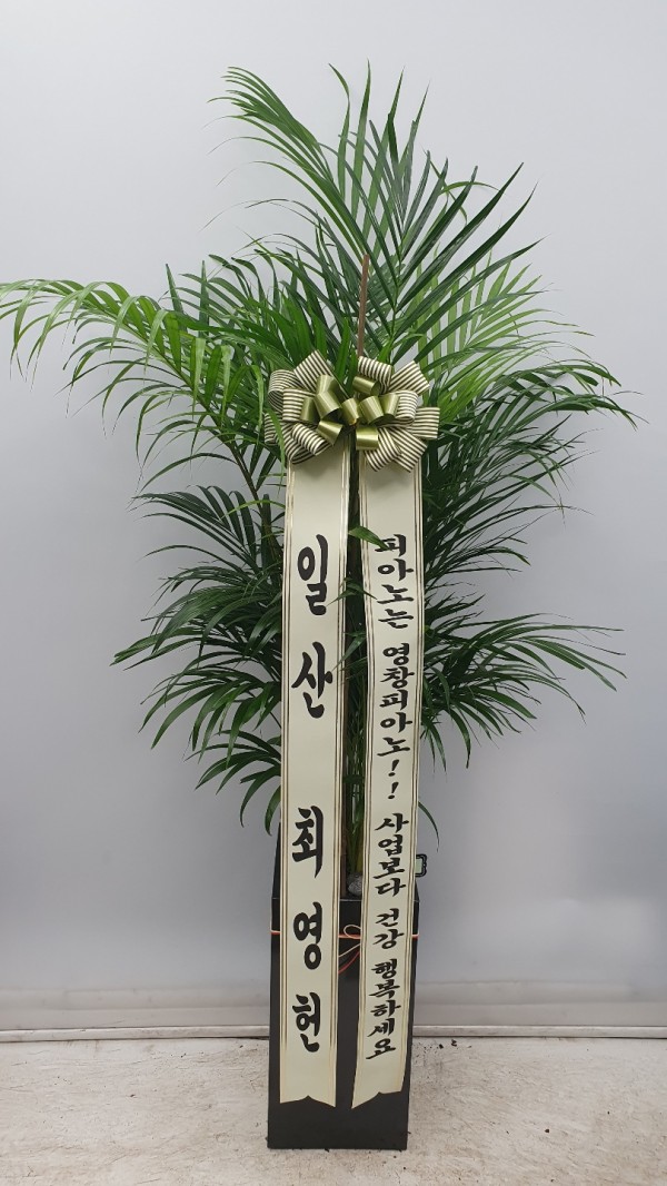 업로드 이미지