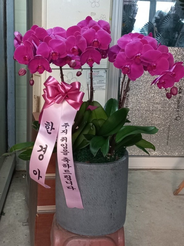 업로드 이미지