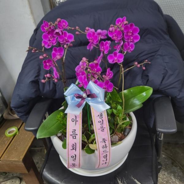 업로드 이미지