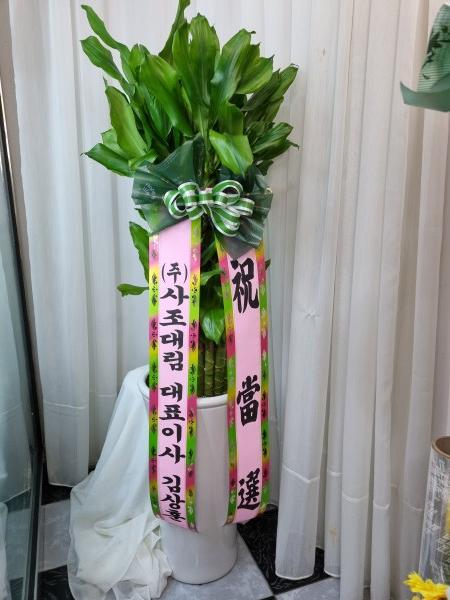 업로드 이미지