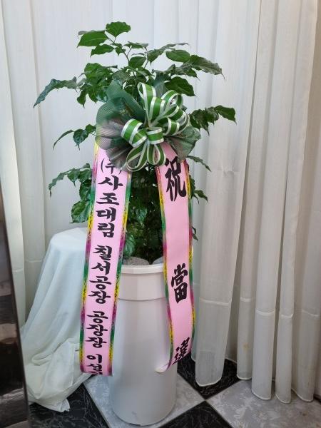업로드 이미지