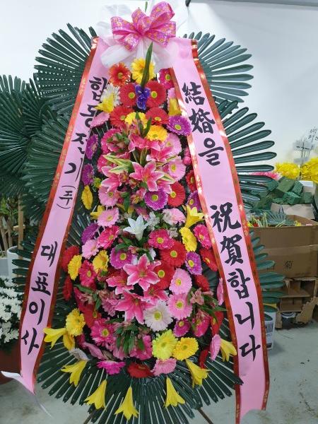 업로드 이미지