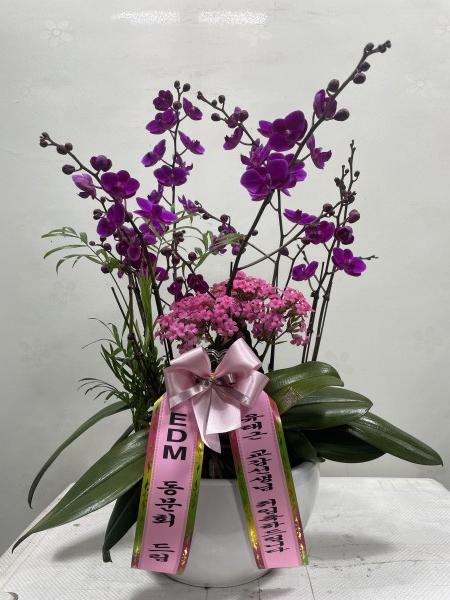 업로드 이미지
