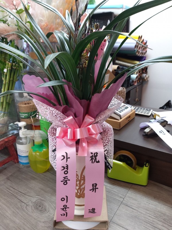 업로드 이미지