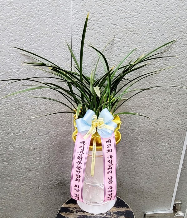 업로드 이미지